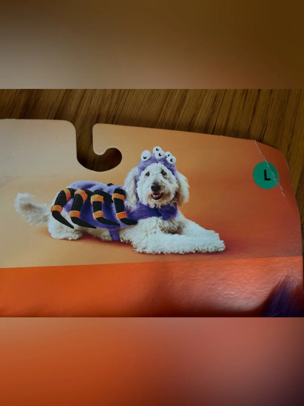 Boots & Barkley Purple and Orange Fuzzy Spider Pet Costume large